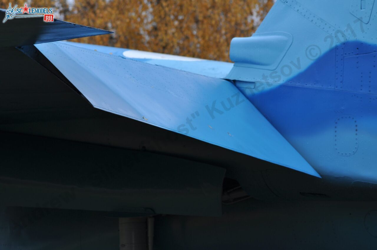 Sukhoi_T-20-10_140.jpg