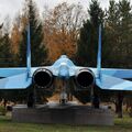 Sukhoi_T-20-10_195.jpg