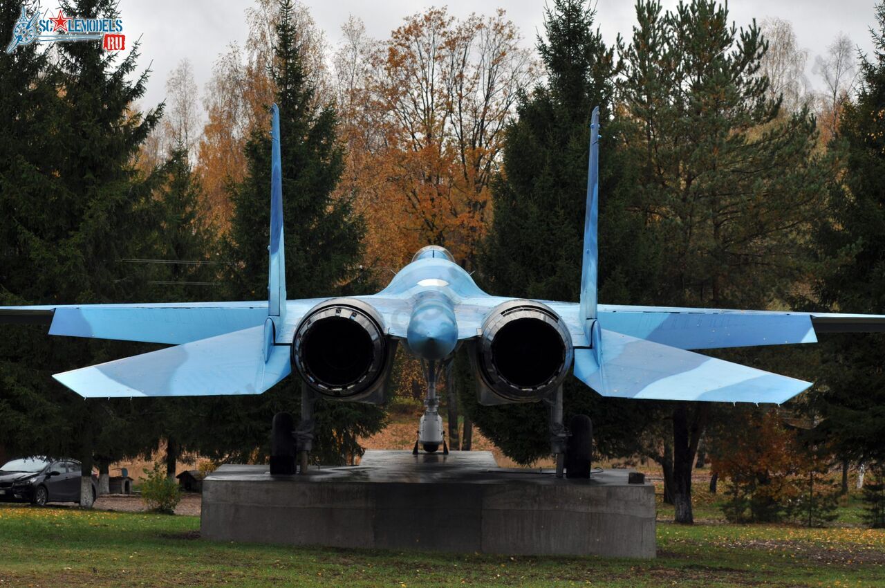 Sukhoi_T-20-10_195.jpg