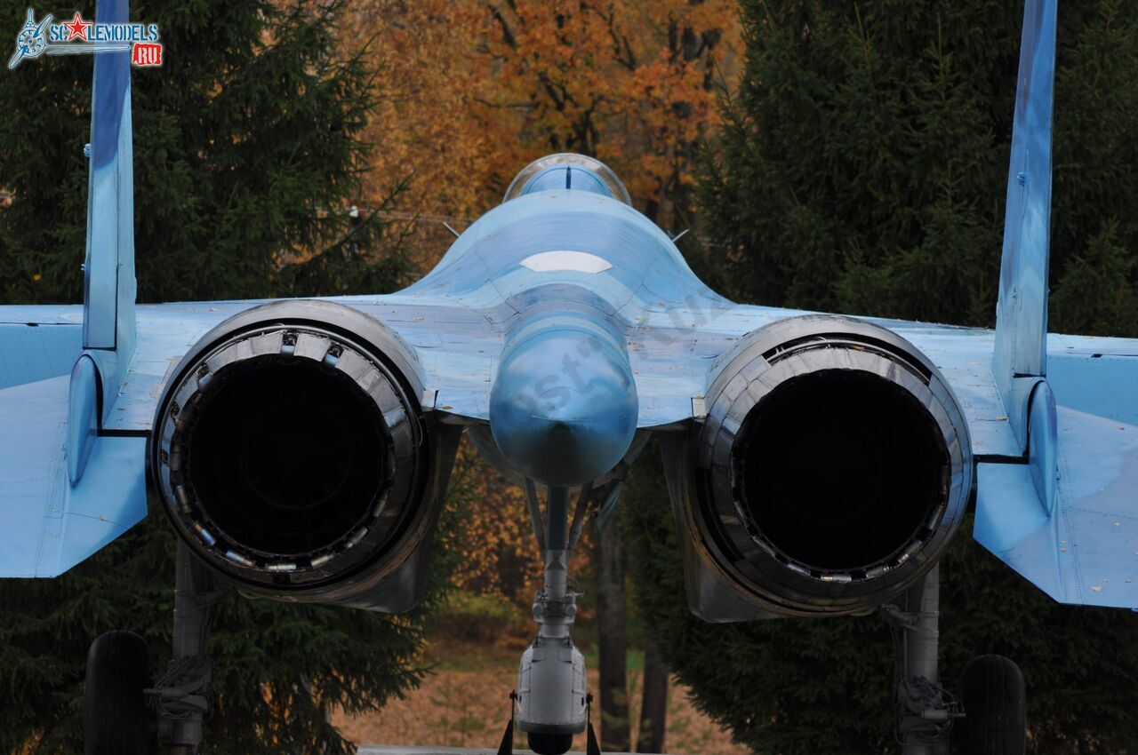 Sukhoi_T-20-10_196.jpg