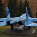 Sukhoi_T-20-10_201.jpg