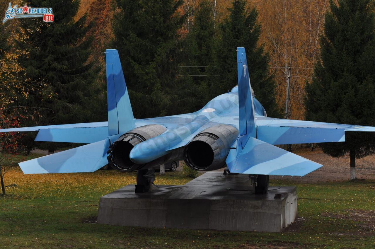 Sukhoi_T-20-10_201.jpg