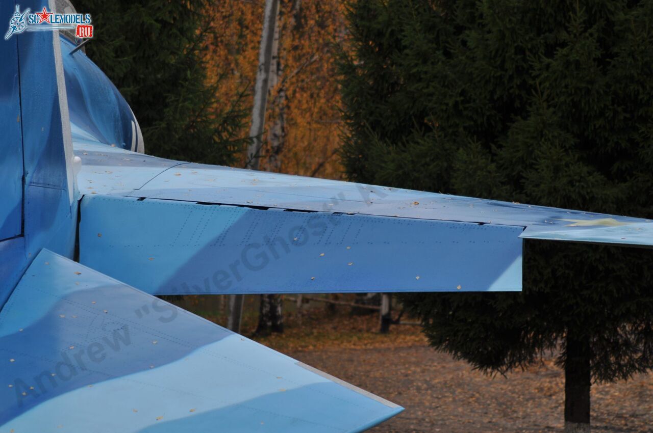 Sukhoi_T-20-10_209.jpg