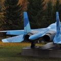 Sukhoi_T-20-10_211.jpg