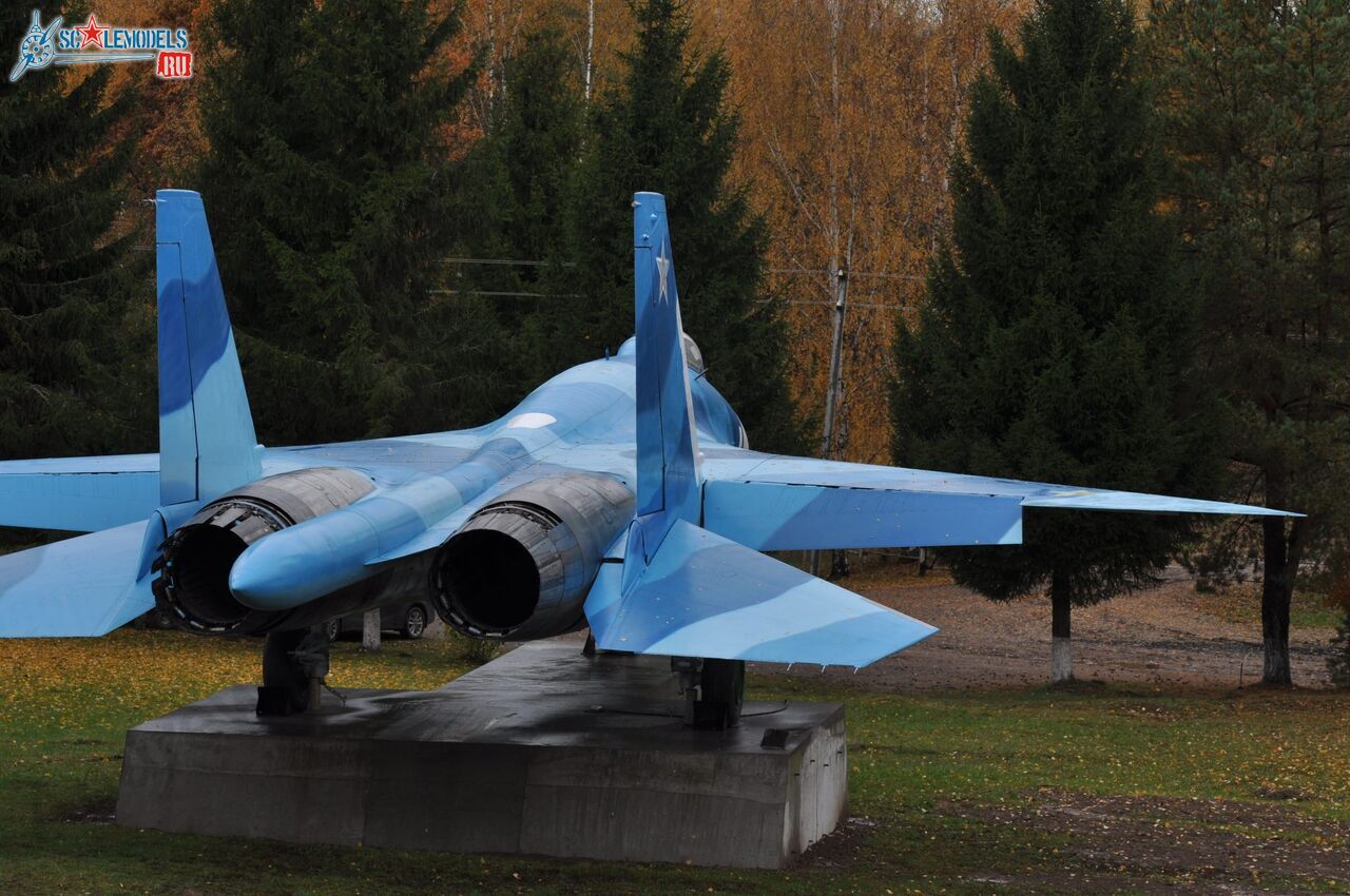 Sukhoi_T-20-10_212.jpg