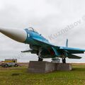 Sukhoi_T-20-10_213.jpg