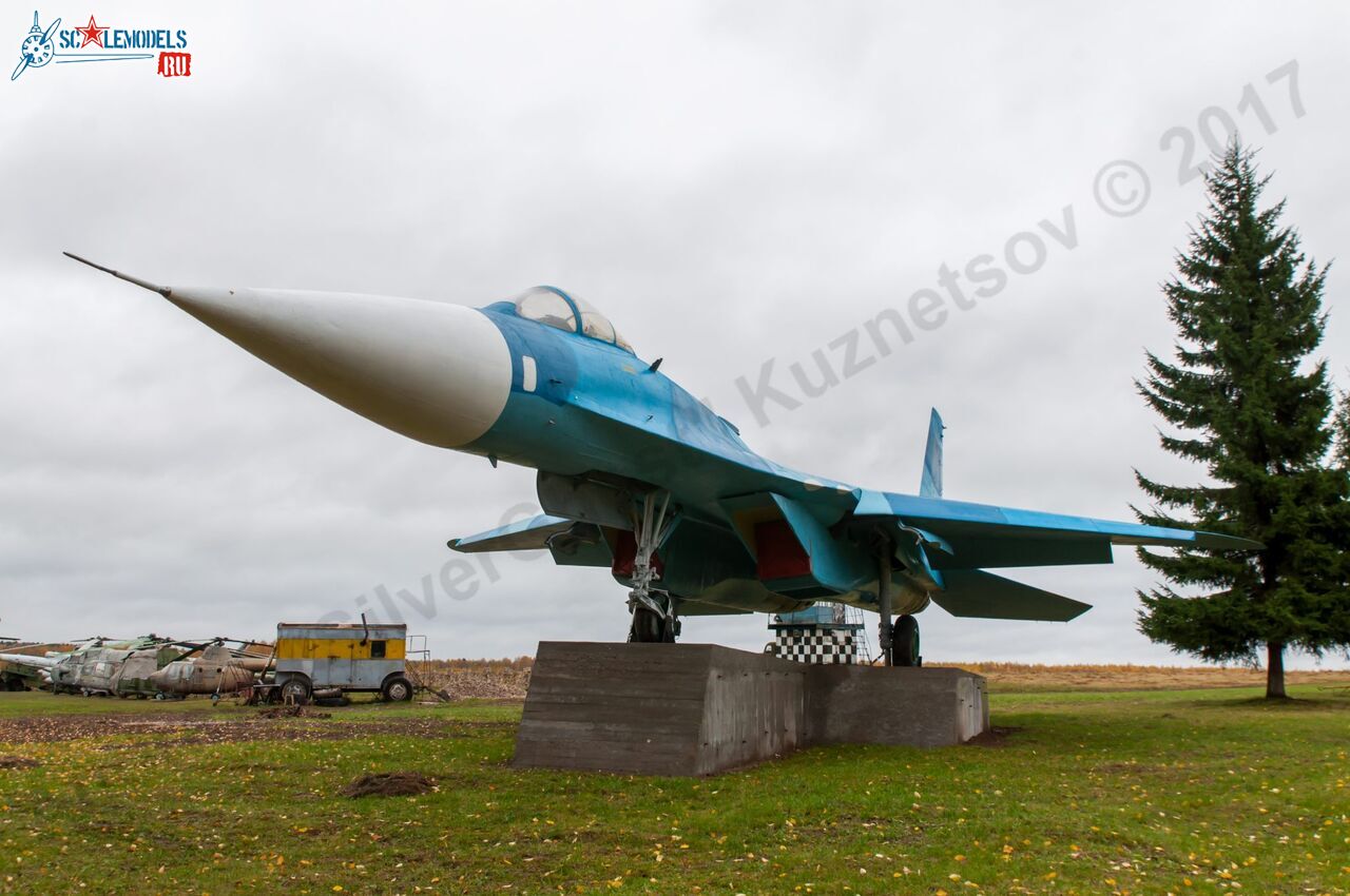 Sukhoi_T-20-10_213.jpg