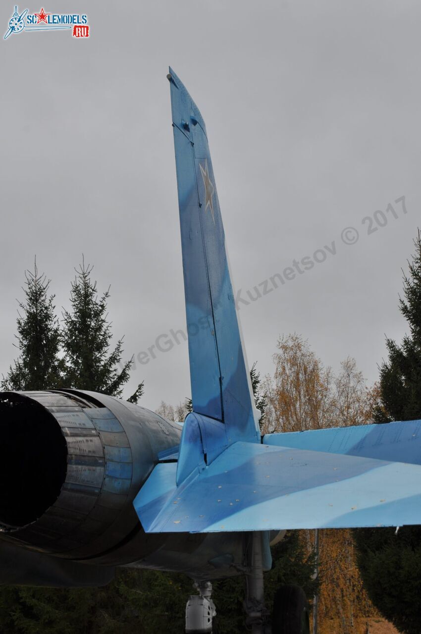 Sukhoi_T-20-10_215.jpg