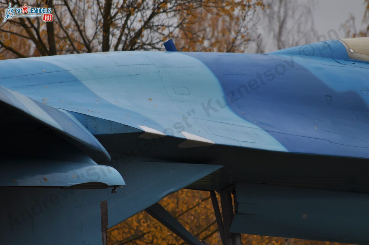 Sukhoi_T-20-10_221.jpg