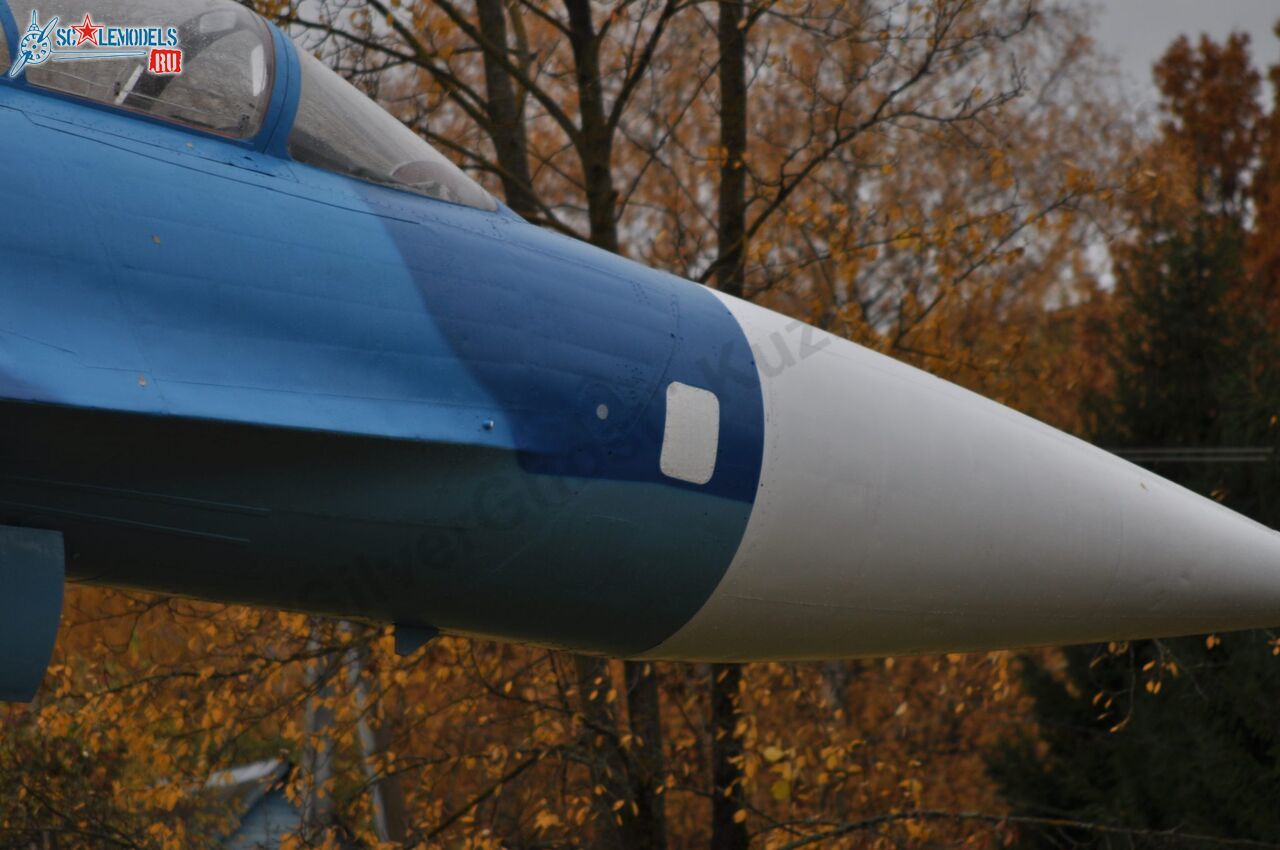 Sukhoi_T-20-10_223.jpg