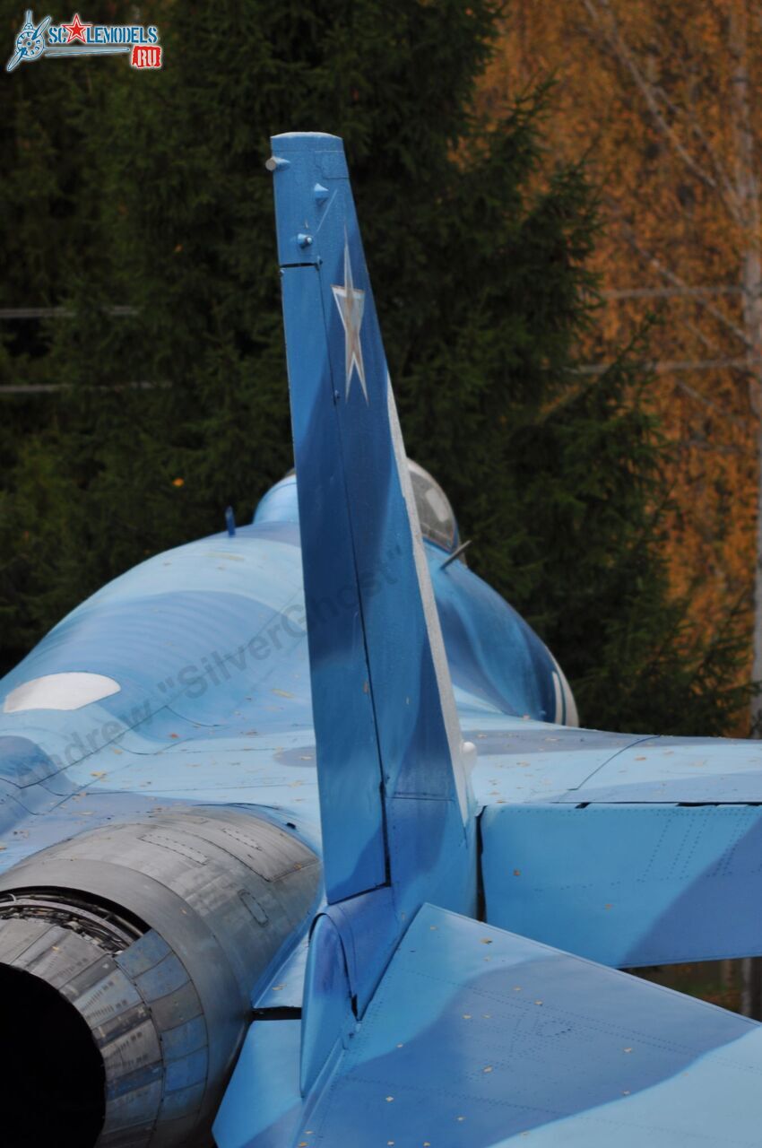 Sukhoi_T-20-10_29.jpg