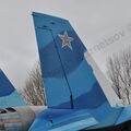 Sukhoi_T-20-10_31.jpg