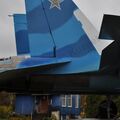 Sukhoi_T-20-10_35.jpg