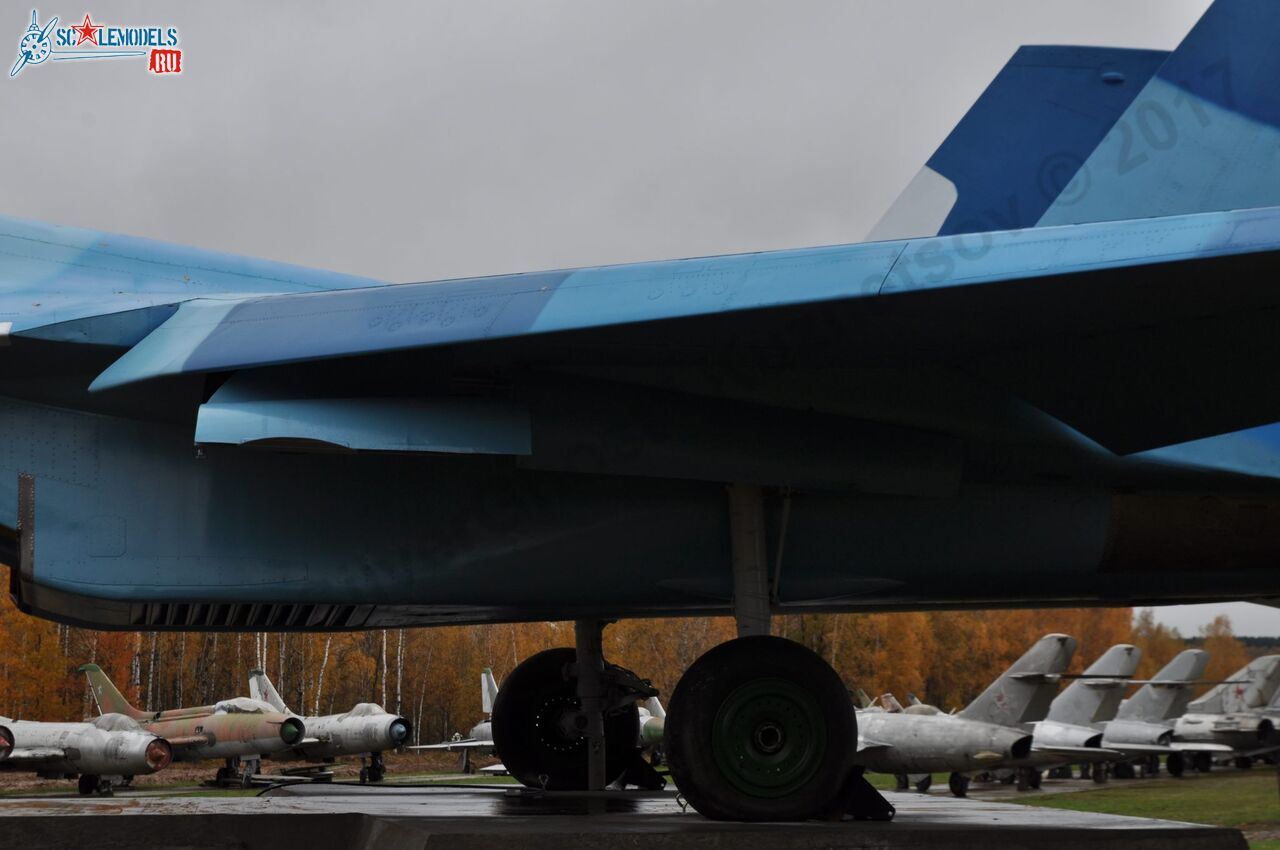 Sukhoi_T-20-10_4.jpg