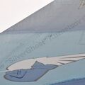 Sukhoi_T-20-10_404.jpg