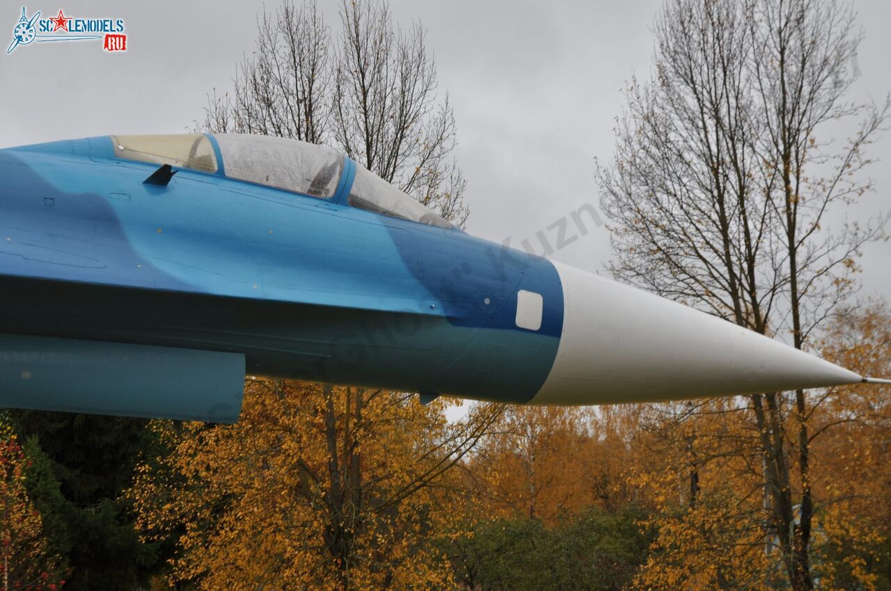 Sukhoi_T-20-10_41.jpg