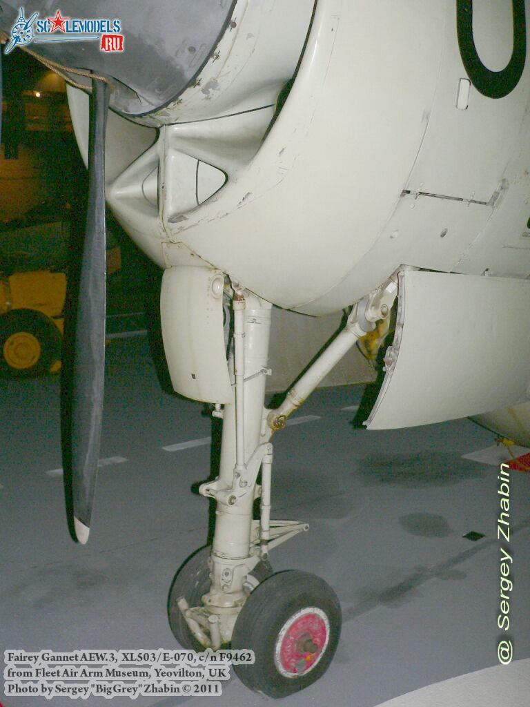 gannet_AEW3_0002.jpg