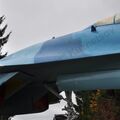 Sukhoi_T-20-10_46.jpg