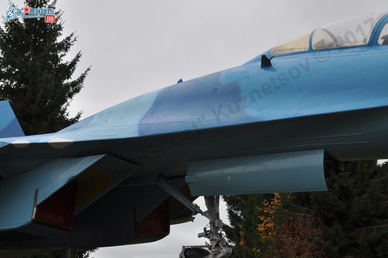 Sukhoi_T-20-10_46.jpg