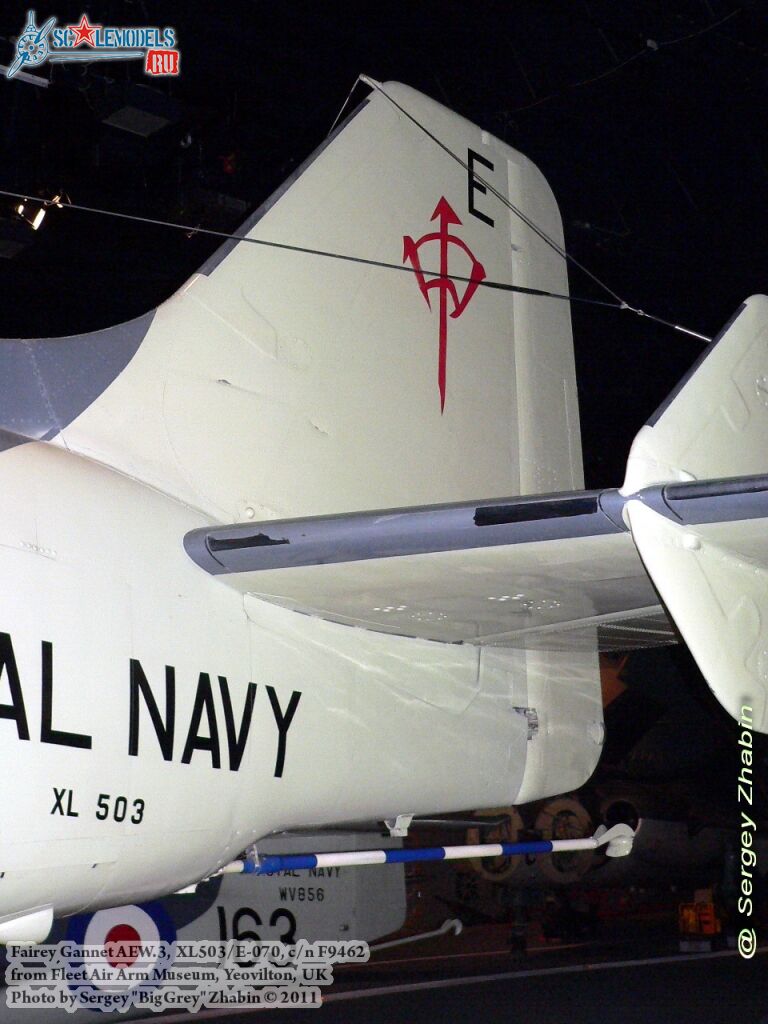 gannet_AEW3_0023.jpg