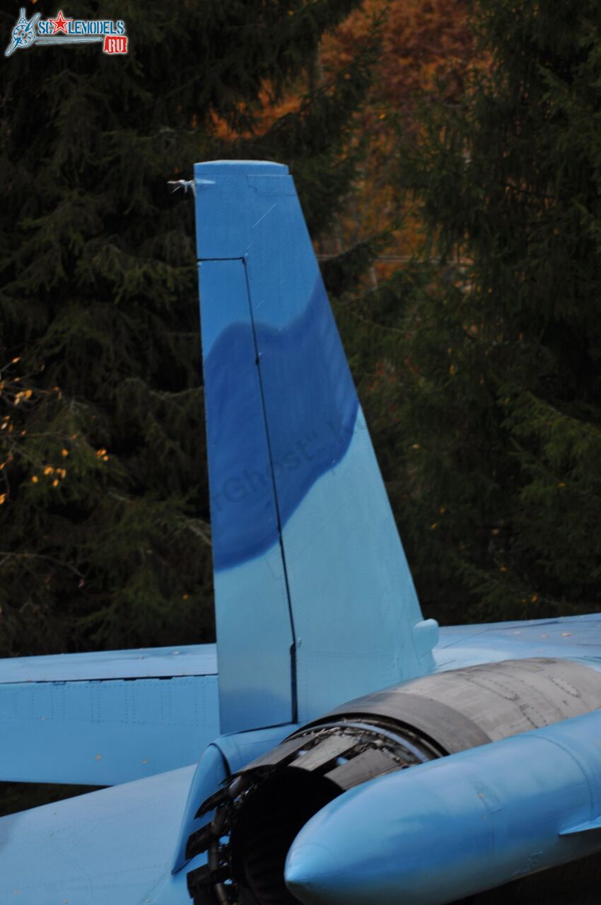 Sukhoi_T-20-10_502.jpg