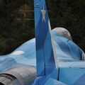 Sukhoi_T-20-10_505.jpg