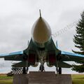 Sukhoi_T-20-10_513.jpg