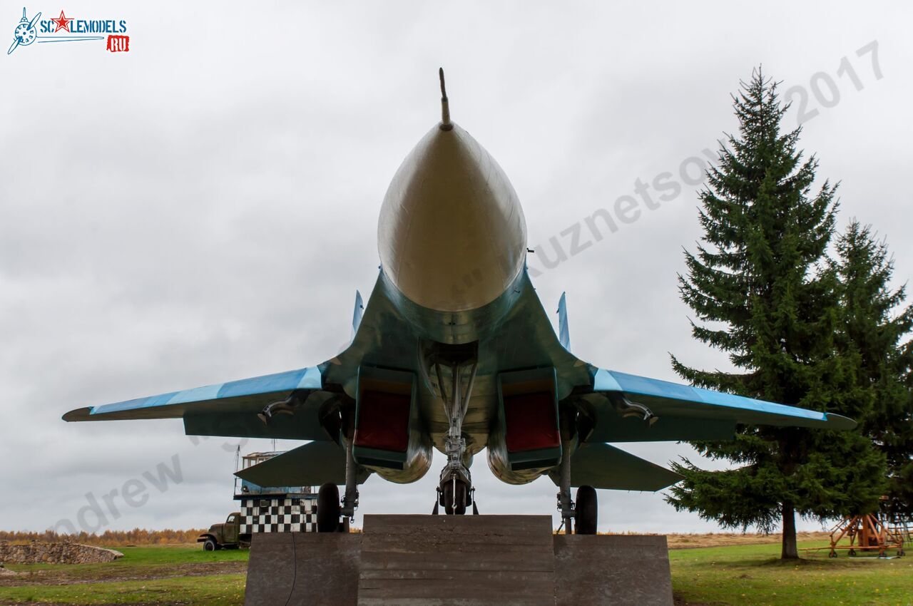 Sukhoi_T-20-10_513.jpg