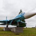 Sukhoi_T-20-10_517.jpg