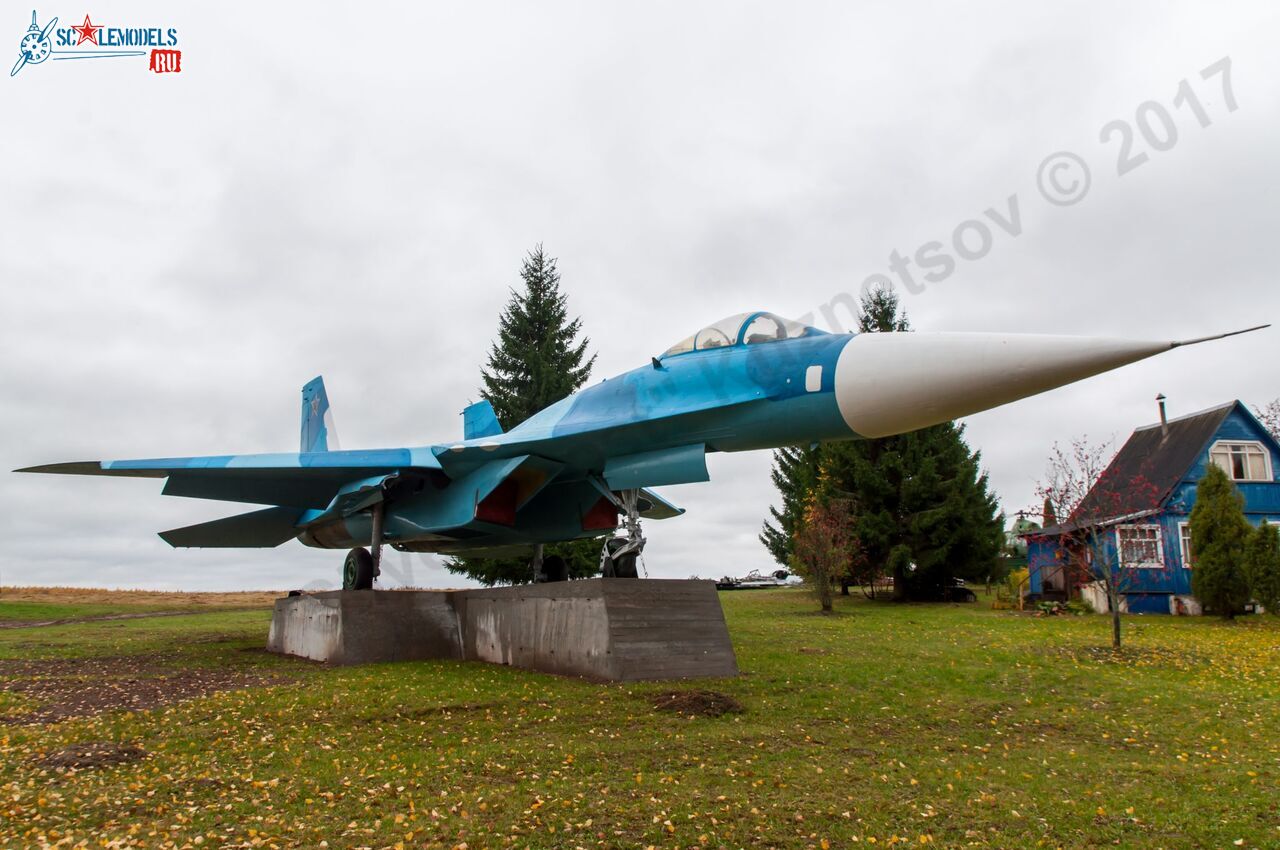 Sukhoi_T-20-10_519.jpg