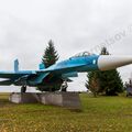 Sukhoi_T-20-10_521.jpg