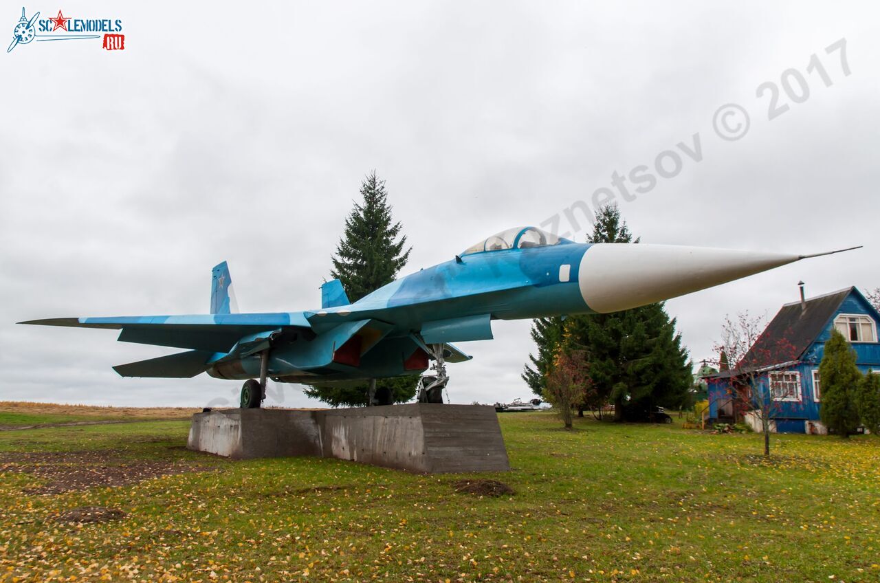 Sukhoi_T-20-10_521.jpg