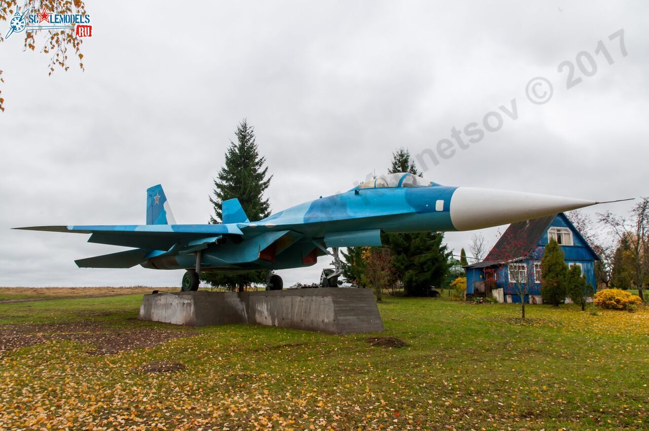 Sukhoi_T-20-10_525.jpg