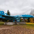 Sukhoi_T-20-10_533.jpg