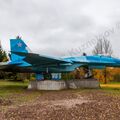 Sukhoi_T-20-10_534.jpg