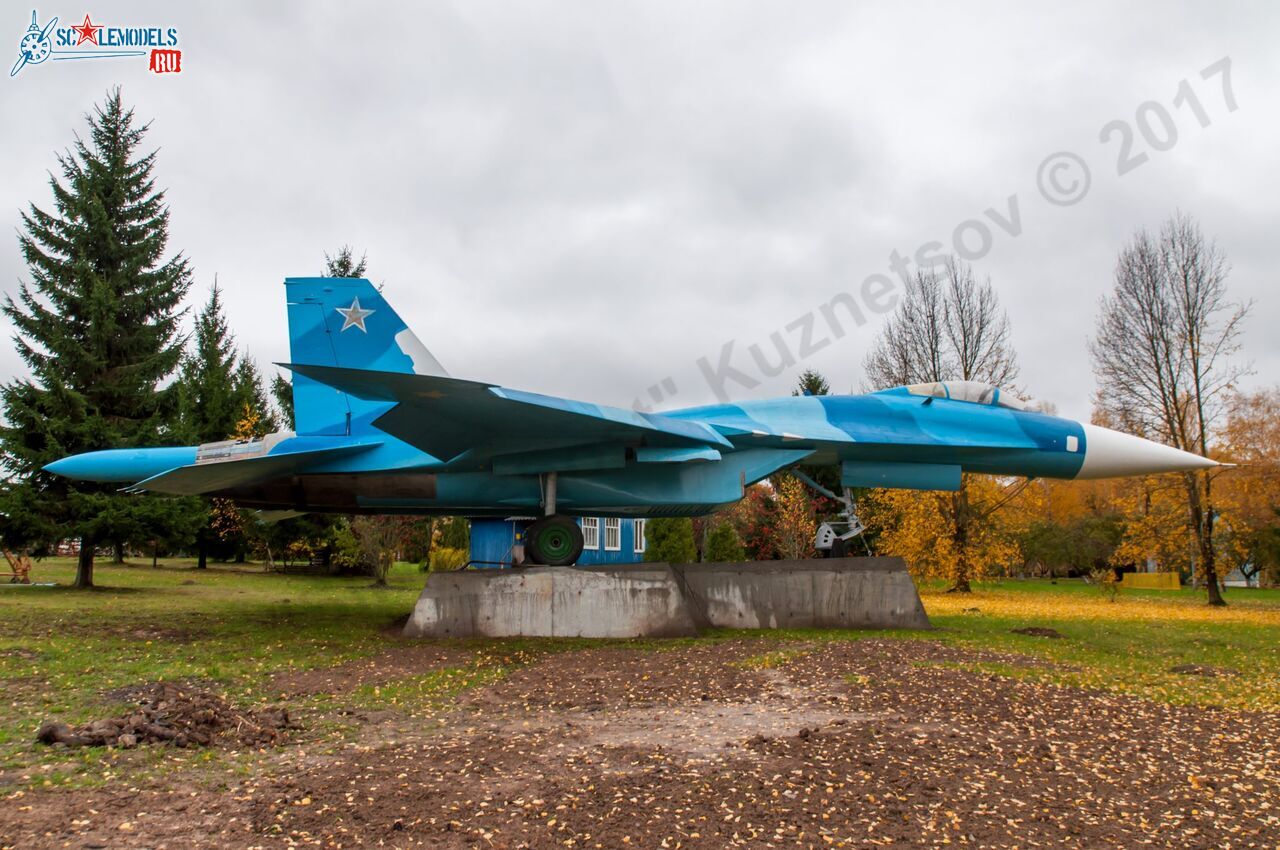 Sukhoi_T-20-10_534.jpg