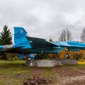 Sukhoi_T-20-10_535.jpg