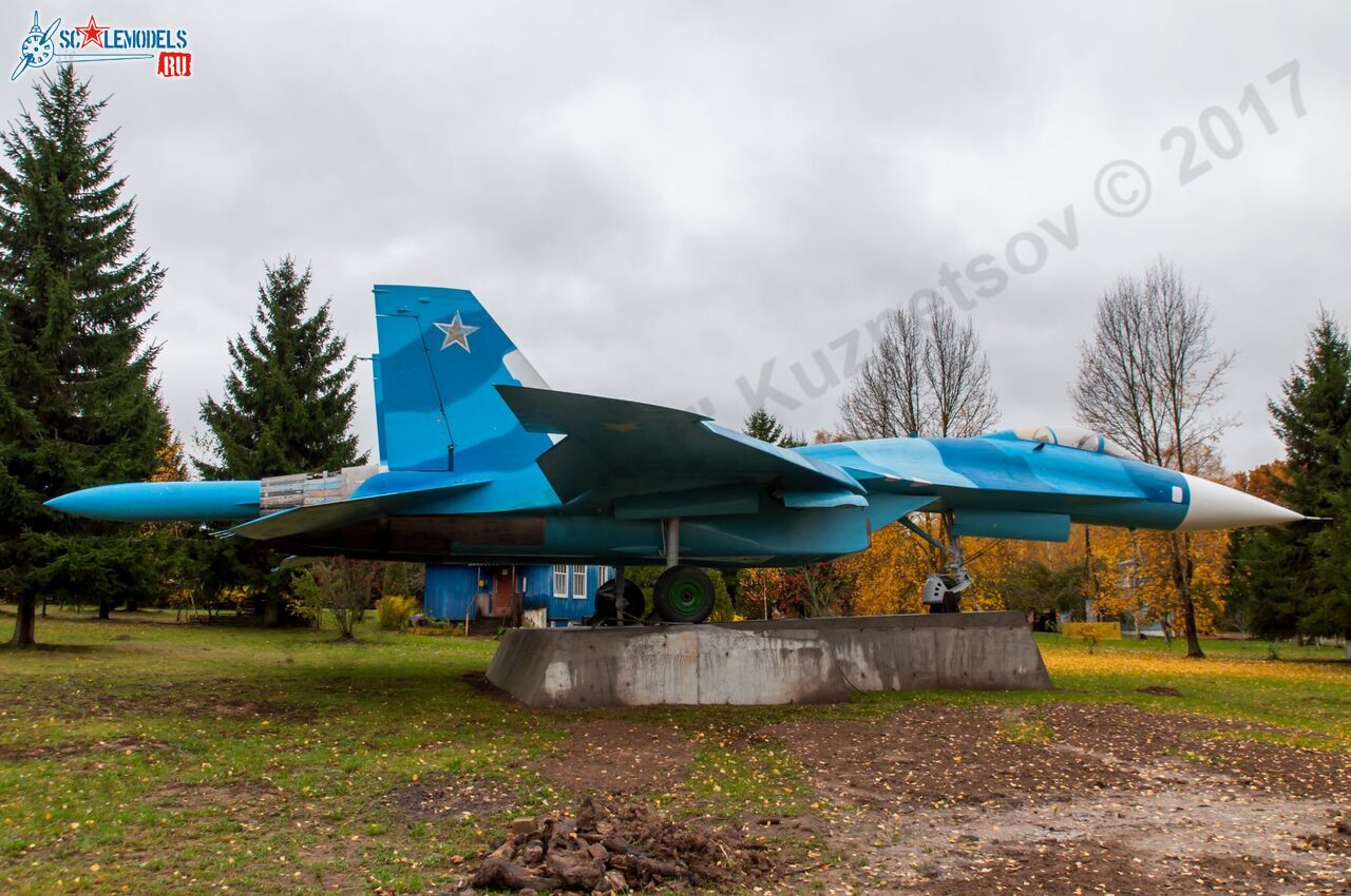 Sukhoi_T-20-10_535.jpg