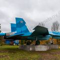 Sukhoi_T-20-10_537.jpg