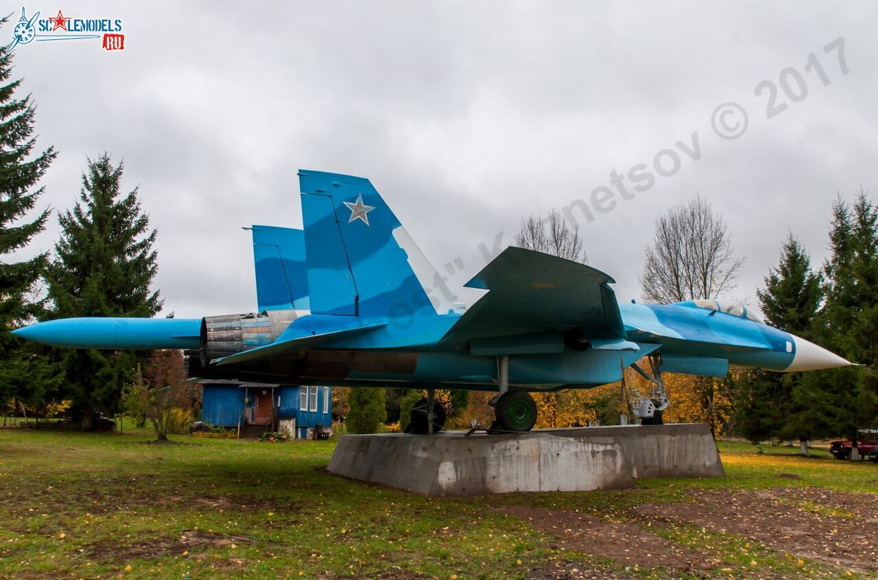 Sukhoi_T-20-10_537.jpg