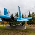 Sukhoi_T-20-10_545.jpg