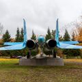 Sukhoi_T-20-10_549.jpg