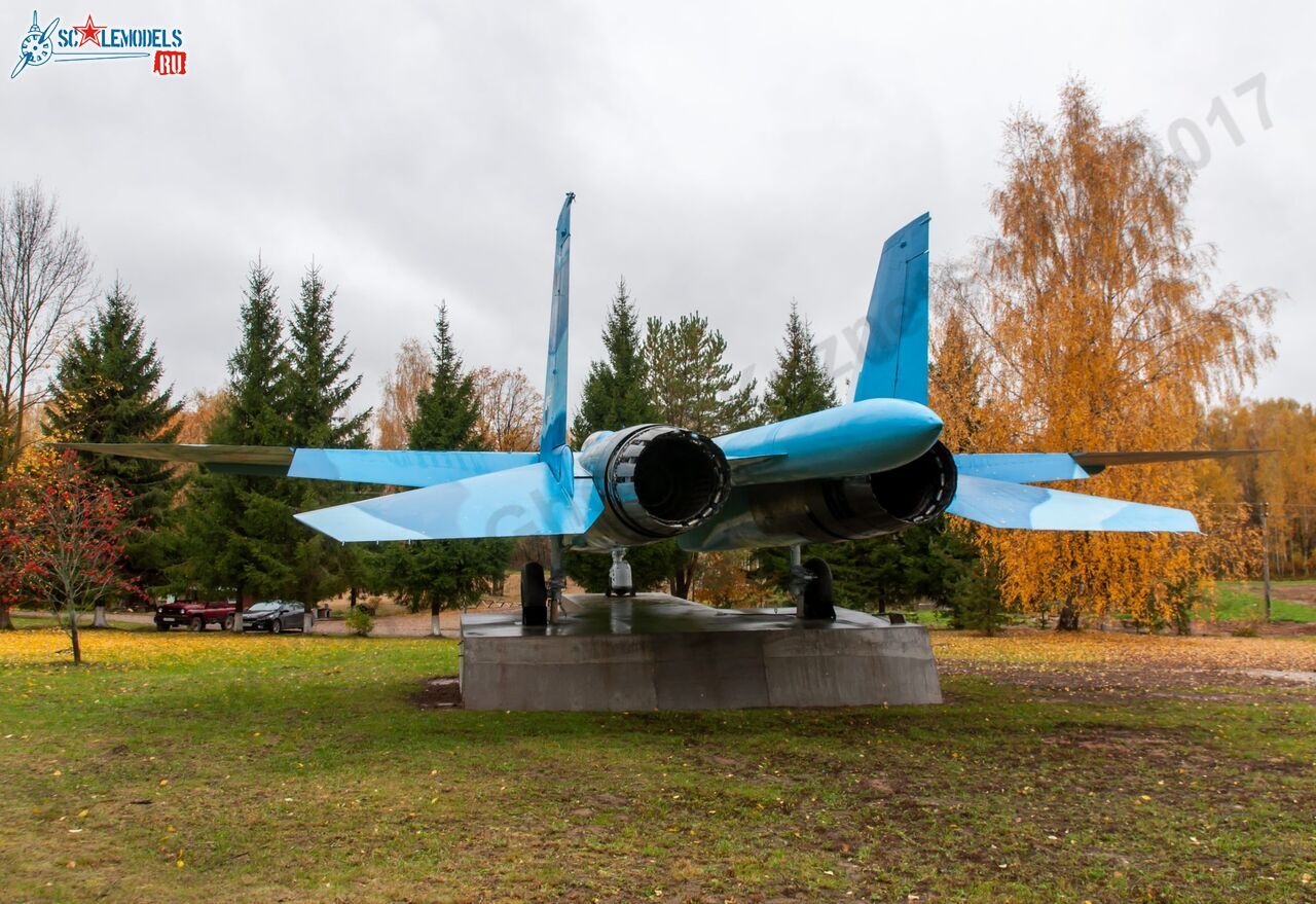 Sukhoi_T-20-10_551.jpg