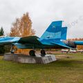 Sukhoi_T-20-10_557.jpg