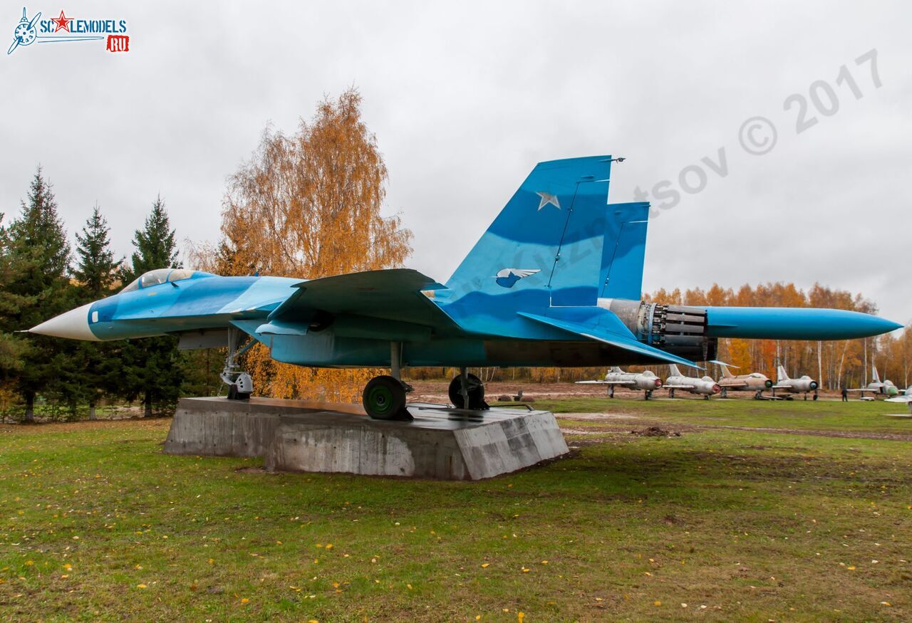 Sukhoi_T-20-10_557.jpg