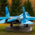 Sukhoi_T-20-10_576.jpg