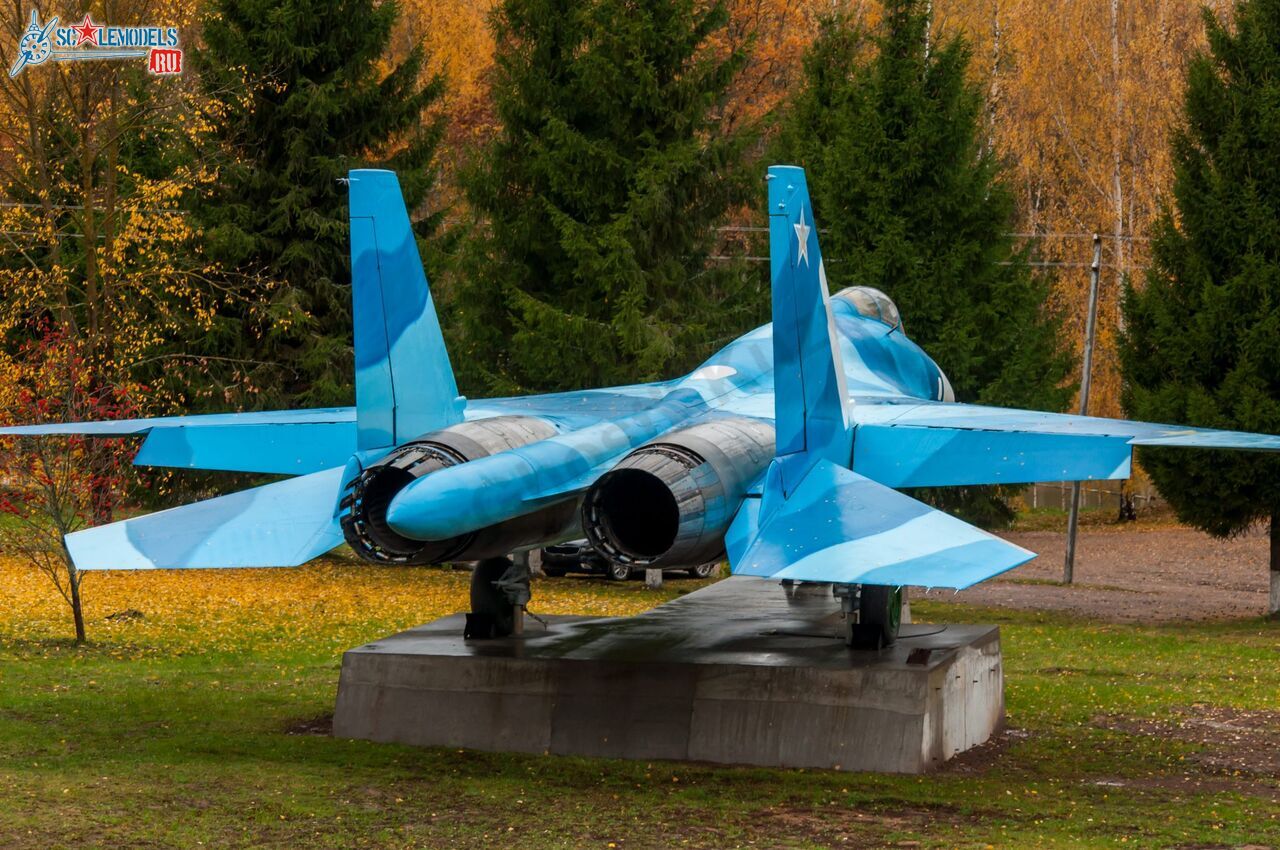 Sukhoi_T-20-10_576.jpg