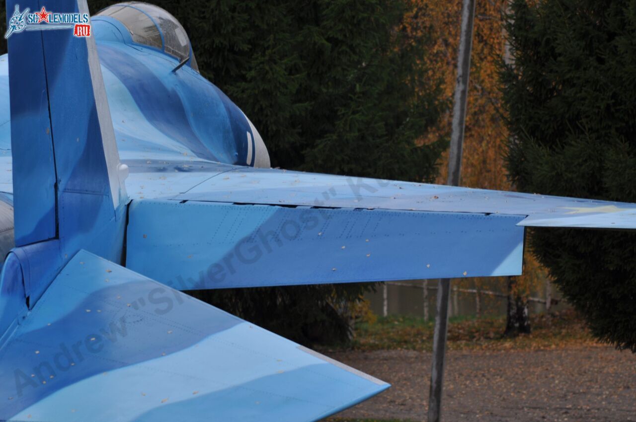 Sukhoi_T-20-10_577.jpg