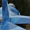 Sukhoi_T-20-10_584.jpg