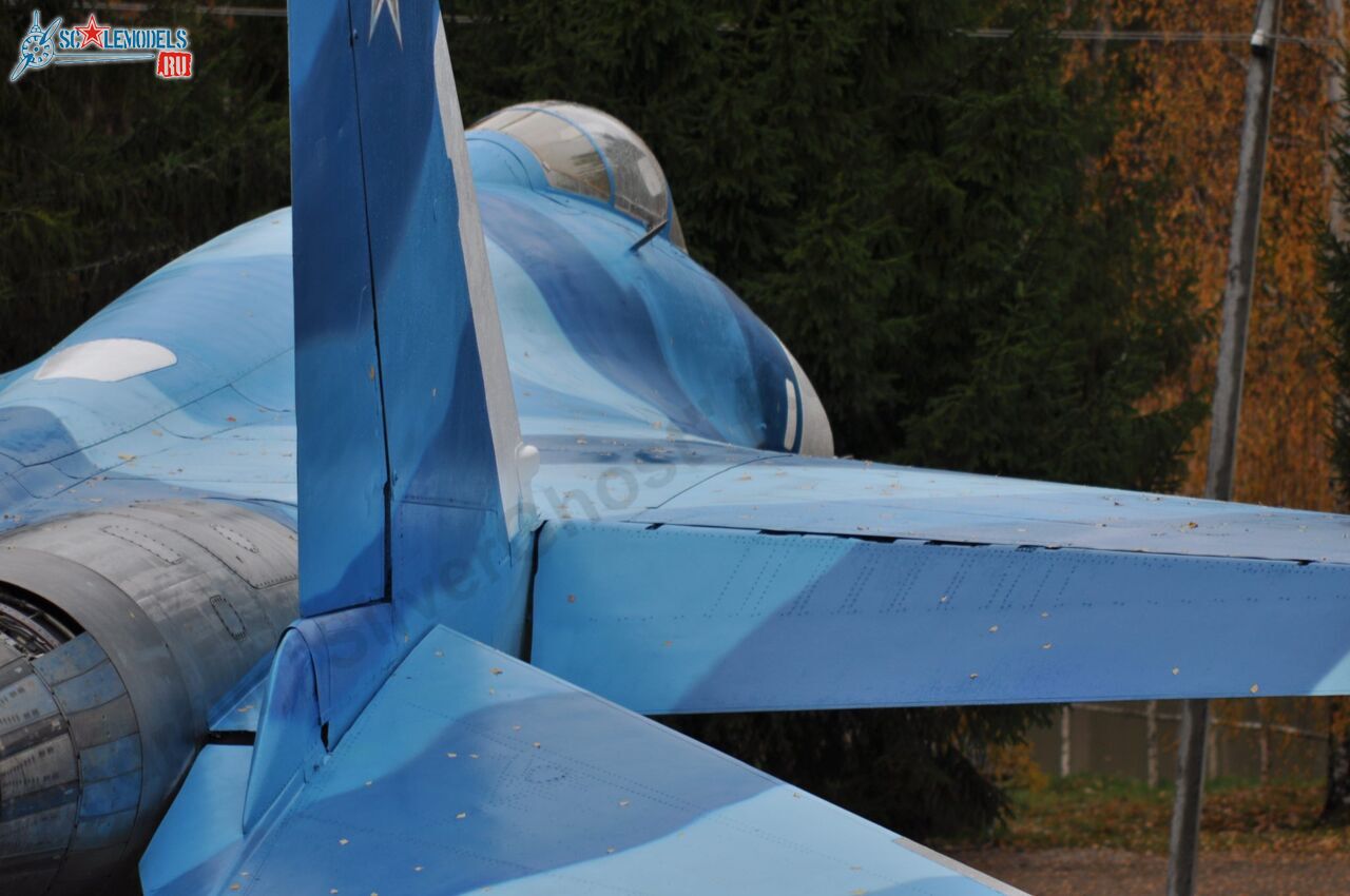 Sukhoi_T-20-10_584.jpg